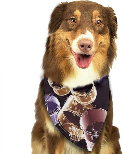 Dog head accessories Clearance