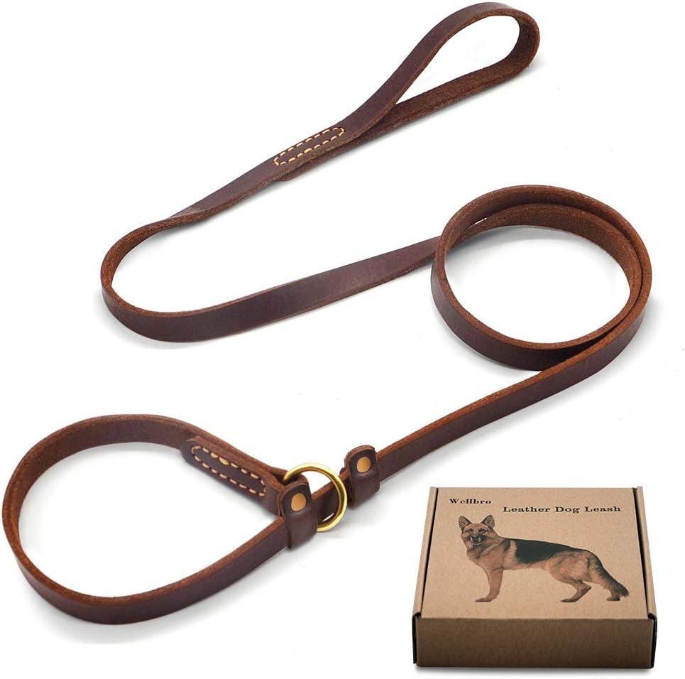 Wellbro Real Leather Slip Lead Dog Leash, Adjustable