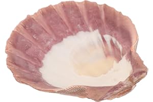 HEMOTON Seashell Jewelry Tray Natural Clam Shell Trinket Dish 13-14cm Jewelry Organizer Plate for Rings