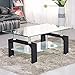 SUNCOO Coffee Table Glass Top with Shelves Home Furniture Clear Rectangle (Black)