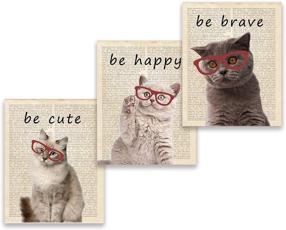 funny Kitten Portraits Prints Baby Cat with glasses Minimalist Nursery Wall Art Decor Siamese Tabby Shorthair Longhair Maine Coon Persian Scottish Fold Black - Set of 3 8x10 inch no frame