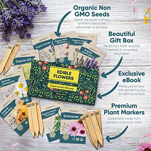 100 Edible Flower Seeds for Planting Certified Organic Seeds 9