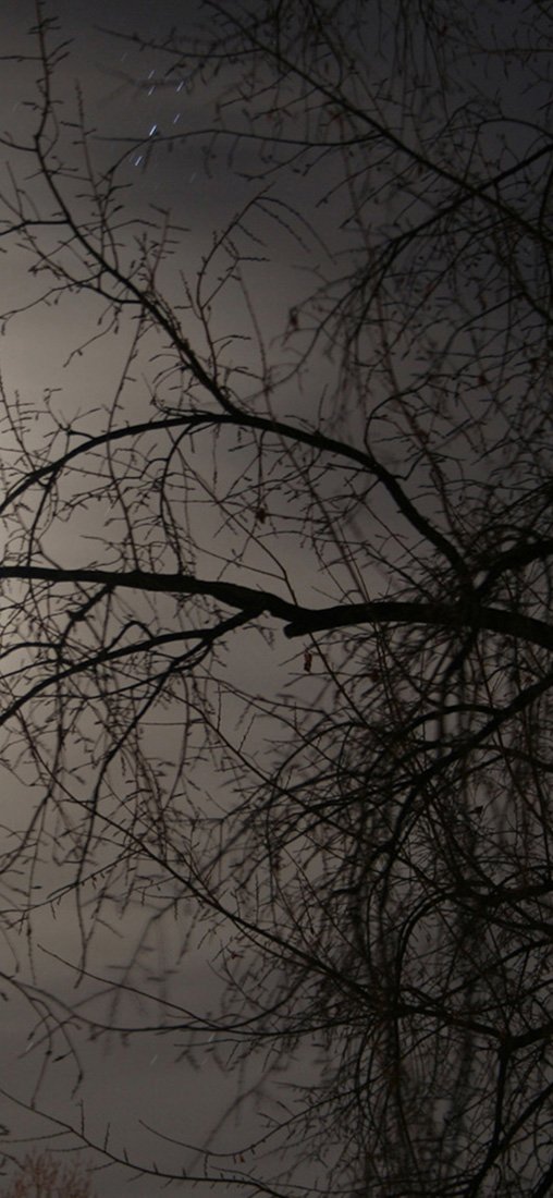 PeelitStickit, Beautiful Nature Wall Murals, ID-1885, vinyl