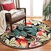 Safavieh Chelsea Collection HK296A Hand-Hooked Black Premium Wool Round Area Rug (4' Diameter)