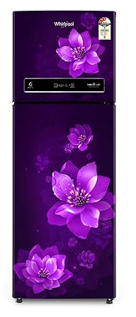 Whirlpool 265 L 3 Star Inverter Frost-Free Double Door Refrigerator (IF INV CNV 278 PURPLE MULIA 3S, Purple Mulia)
