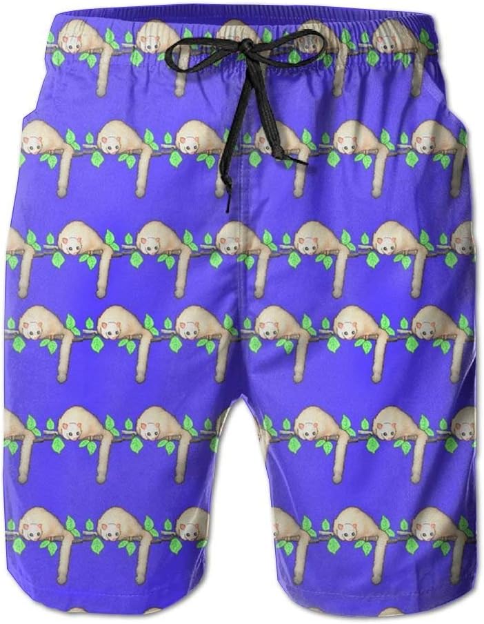 VRTIIY Men's Swim Trunks Succulent and Cactus Pattern Cartoon Surfing Beach Board Shorts Swimwear