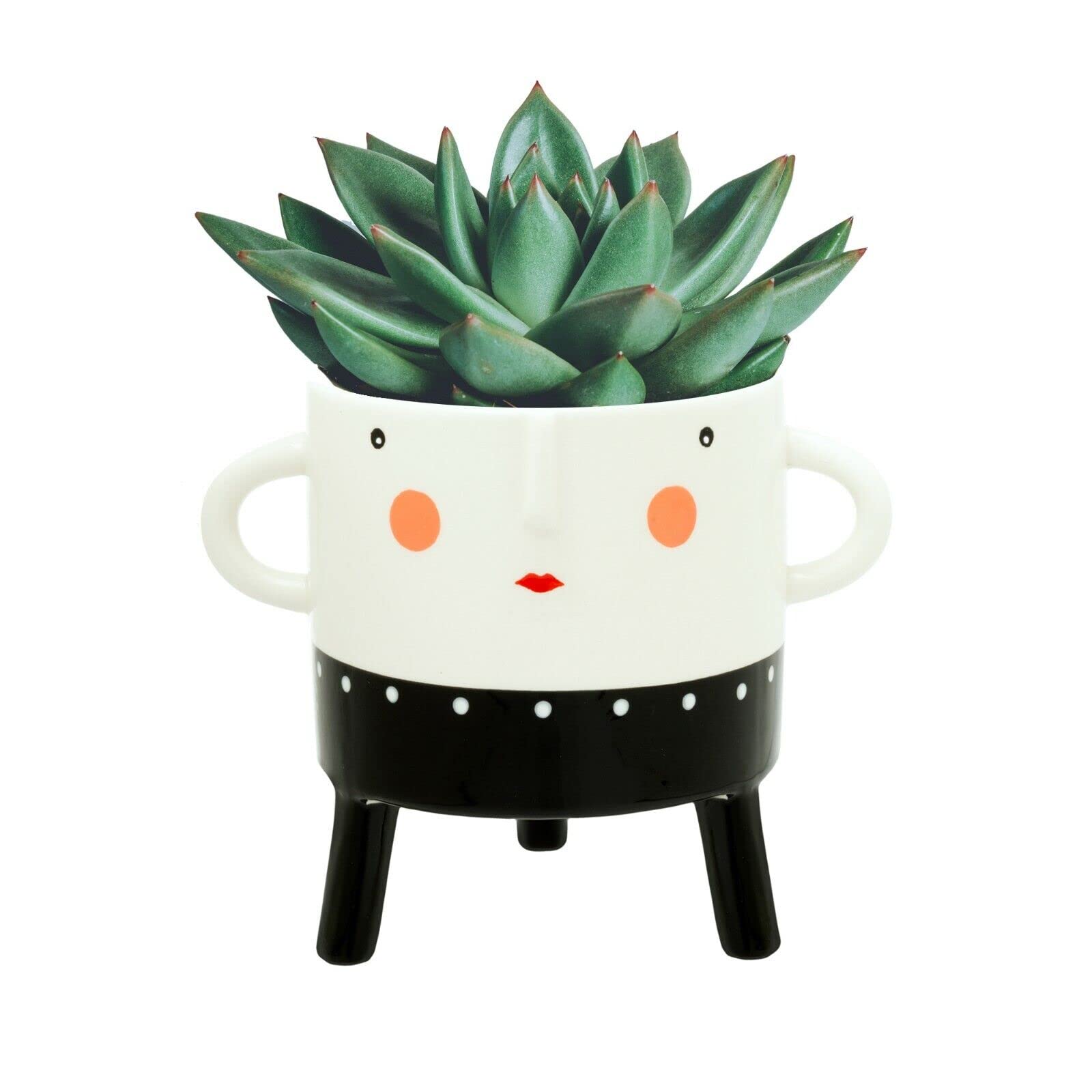 Kusso Ceramic Plant Pot Small Lady Design with Face and Spots, Black and White for Cactus Aloe Vera Succulent Houseplant in Kitchen Office or Living Room