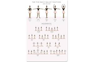 QSHPO Ballet Knowledge Posters Basic Ballet Movements Metal Signs Room Decor Retro Plaque Club School Home Wall Decor 12x16 Inches The Five Basic Ballet Positions 1 12 in x 16 in