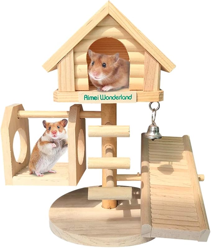 home hamster