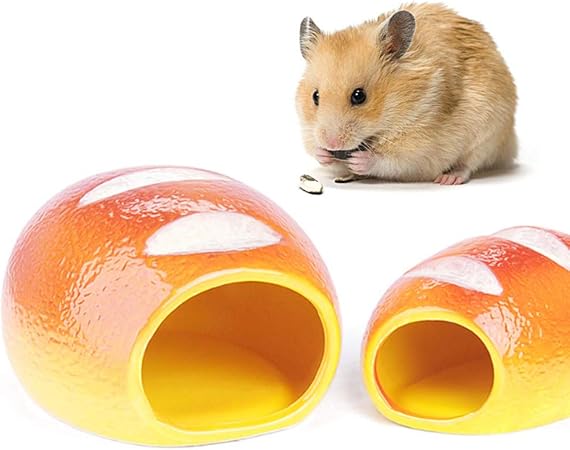 hamster accessories amazon