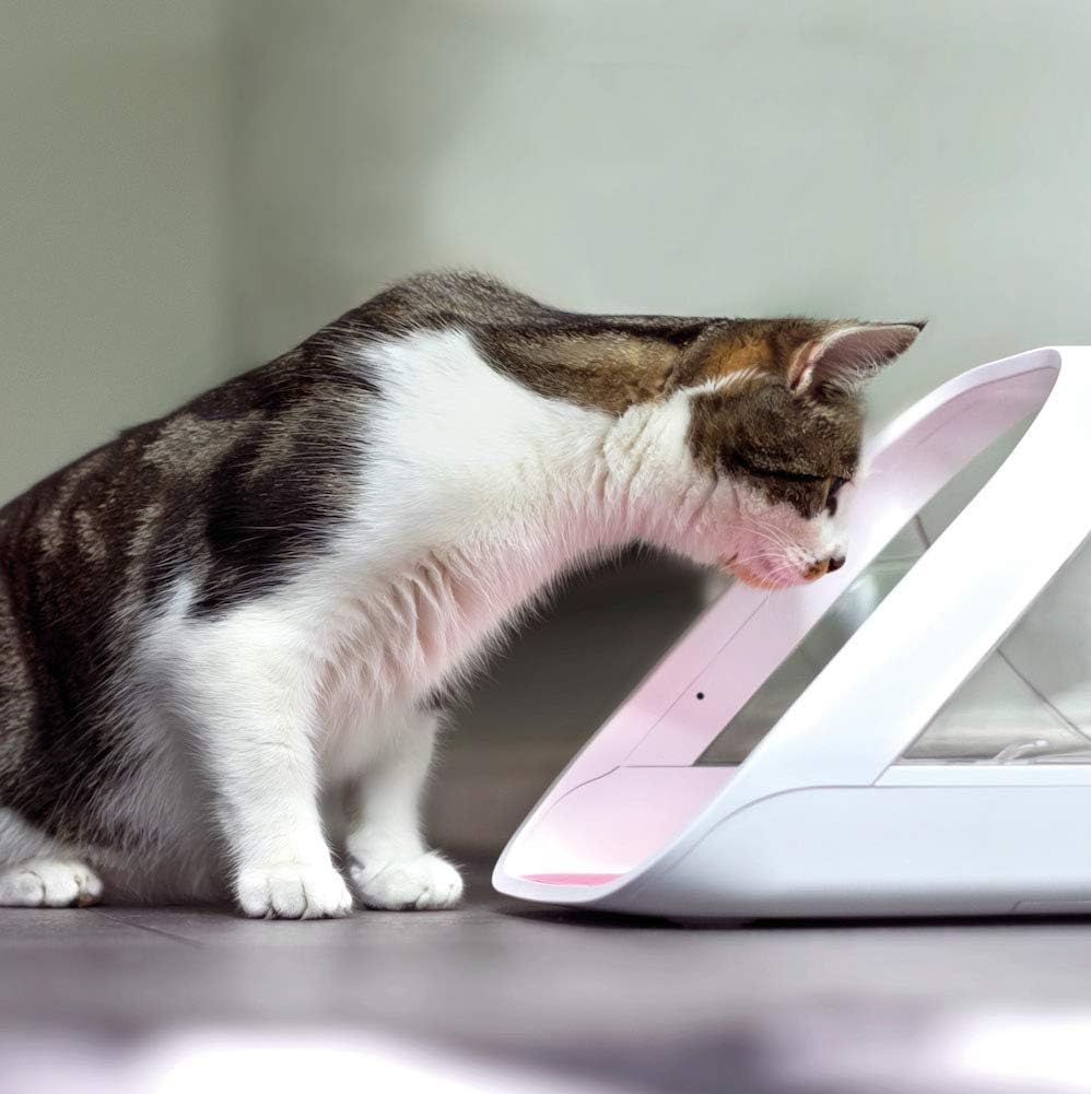 Sure Petcare SureFeed Microchip Pet Feeder Connect, RFID Collar Tags Compatible, Mobile App Control - Image 3