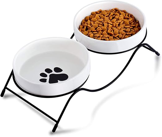 cat dishes amazon