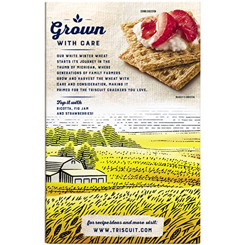 TRISCUIT CRACKERS, BALSAMIC VINEGAR & BASIL FLAVOR, 1 BOX (8.5 OZ)