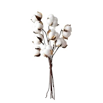 Amazoncom Aooaz Decor Cotton Branch Literary Fan Dry