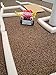 Coding Click-Bot Push Button Programming Robot
