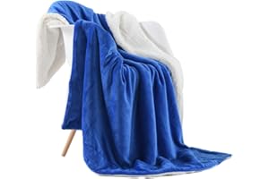 NANPIPER Throw Blanket Sherpa Flannel Blankets Soft Fuzzy Plush Fleece Microfiber for Bed/Couch (60"x80",Princess Blue)