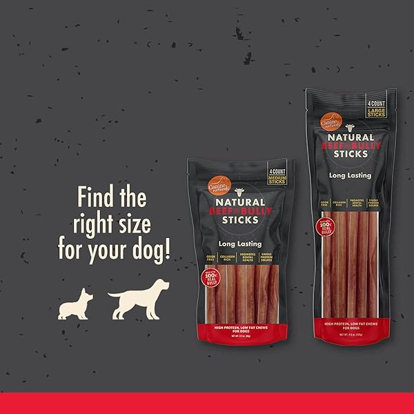 CANINE NATURALS | NATURAL BEEF & BULLY STICKS | LONG-LASTING, ODOR FREE, HIGH PROTEIN CHEWS MADE WITH 100% REAL BULLY | 4 COUNT MEDIUM STICKS