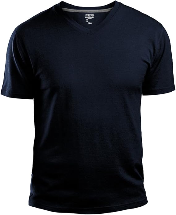 Amazon Gap メンズ Vネック コットン Tシャツ 普段着 定番 無地 Us サイズ Medium カラー ブルー Tシャツ カットソー 通販