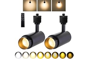 EAGLOD Zoomable 10W Track Light Heads,H Track Lighting Head with Remote,Stepless Dimming Bright LED Track Heads 2700K-6500K Adjustable,15°~60° Beam Angle for Home,Commercial,Artwork (Black, 2Pack)