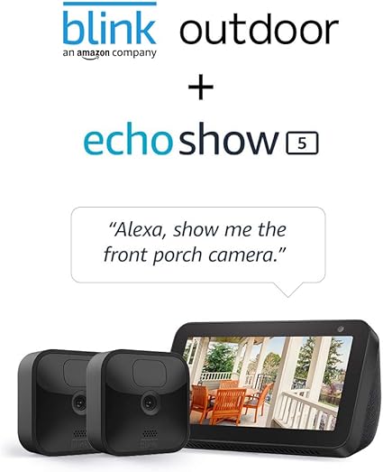 blink camera echo show