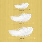 Jagowa 100 Pcs Feathers for Crafts Colorful Natural Goose Feathers White view 2