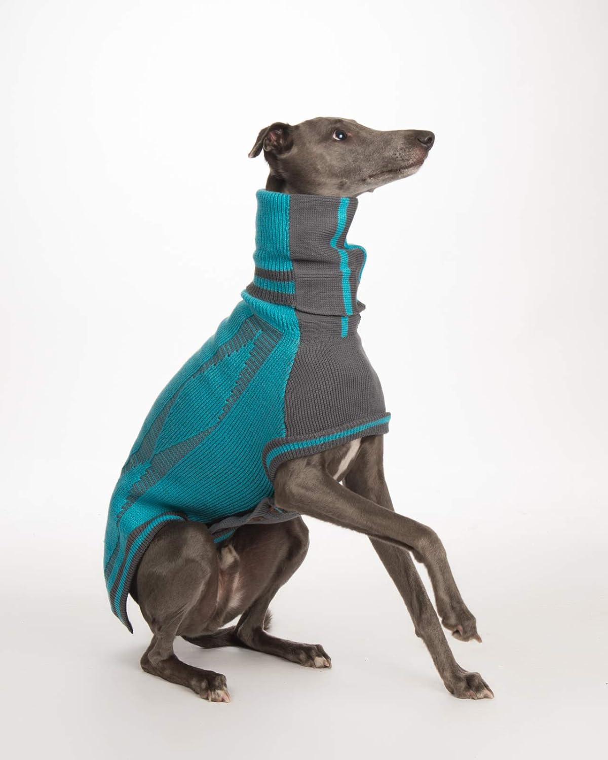 lurcher jumper