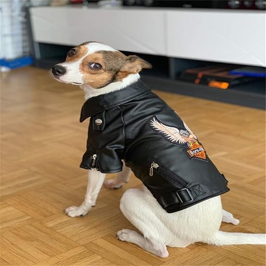 puppy waterproof jacket