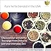 Jasmine Fairy Blooming Tea 3 Oz, By Higher Tea. Beautiful Blooms Unfold to Make Drinking Healthy Tea a Spectacular Experience (8 Hand Sewn Blooms)
