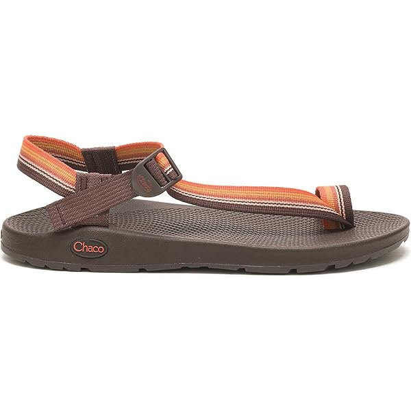Amazon.com: Chacos JCH108687ZSHEARNAVYM14.0: Men's Z1 Classic