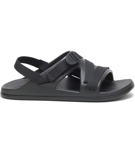 Amazon.com | Chaco Men display picture 1