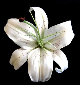 Buy Large White Lily Hair Flower Clip Online At Low Prices In