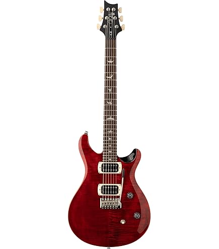 Amazon.com: PRS Paul Reed Smith 6 String SE Standard 24