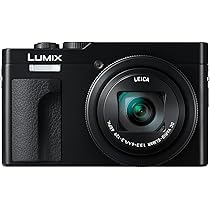 Amazon.com : Panasonic LUMIX TZ/ZS99 Point and Shoot Camera