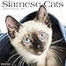 Siamese Cats 2018 Calendar