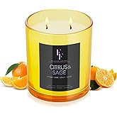 Citrus & Sage Scented Candle, 2-Wick Luxury Soy Wax Candle, 9 oz Aromatherapy Candle Home Fragrance Candles Gift
