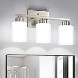 FonmYim Brushed Nickel Bathroom Light