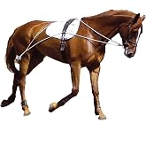 Hunters Saddlery Ultimate Horse Lunging Training Aid System Lunge Equipment for Pony Cob Horse Draft Size