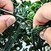 NatraHedge Artificial Boxwood Hedge Mat 20