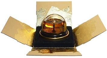 Jean Paul Gaultier Fragile 25 ml Eau de Parfum Spray