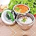 Stainless Steel Double Layer Bento Box, Food Container, Lunch Box with Green Handle