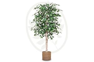 Maia Shop Artificial Ficus Tree 5FT Tall, Fake Tree with Natural Wood Trunk and Realistic Leaves, Faux Silk Plant Made with The Best Materials, Faux Potted Tree for Home Decor Indoor, 60 inches