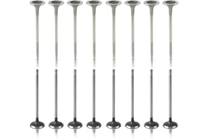 MOTOALL Intake Air-out Exhaust Valve Replacement 11347587470, 11347547187 Fit for Mini Cooper S R56 N14 2007-2010