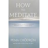 How to Meditate: A Practical Guide to Making Friends with Your Mind
