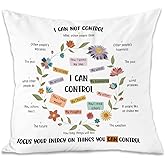 LiTiu Mental Health Decor Pillow Covers, Calming Corner Throw Pillow Decorative, Decor Pillow Cover for School Counselor Therapy Office Counselor Office, 18x18 Inch