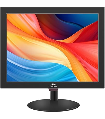 Amazon.com: NEC Display MultiSync E221N-BK 22