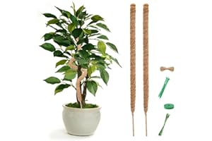 2 PCS Bendable Moss Pole,Moss Pole Plant Support Monstera Handmade Plant Sticks Support to Train Indoor Plants to Grow Upward