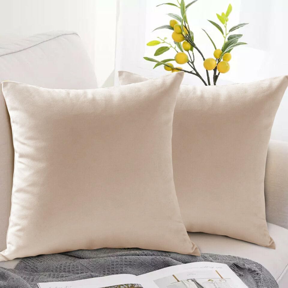 Seechoo Velvet Cushion Covers, Set of 2, 45cm x 45cm, 18x18 Inch, 17 Colours, Extra Soft Plush, Decorative, Invisible Zipper (Beige)