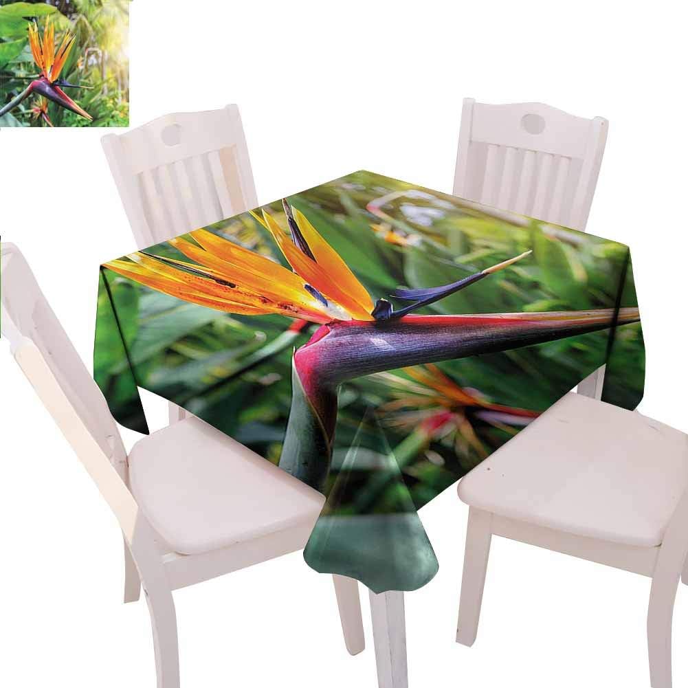 Zara Henry Plant Wrinkle-Free Tablecloth Bird of Paradise Flower Proof Faded Tablecloth W60 xL60