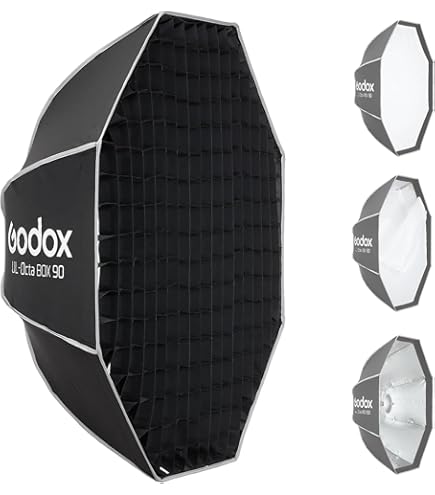 Amazon.com : Godox Honeycomb Grid for Godox QR-P120 P120L P120H