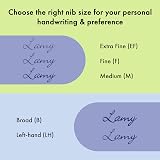 LAMY Safari Aquasky Fountain Pen EF Nib Ergonomic Grip Blue Cartridge Included view 5